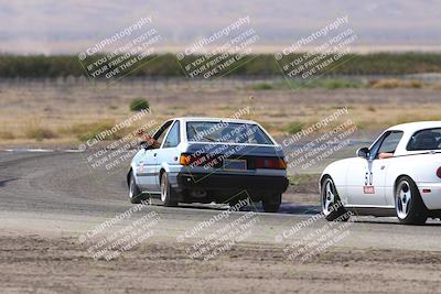 media/Oct-04-2025-OnGrid (Sat) [[44bd565ffa]]/Purple Group/Grapevine/